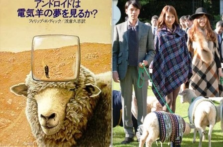 Độc đáo khách sạn hạng sang dành cho… cừu - 1 Độc đáo khách sạn hạng sang dành cho… cừu