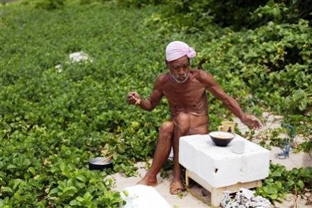 Gặp “Adam” trên hòn đảo hoang ở Nhật Bản