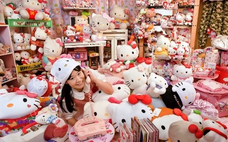 Bộ sưu tập mèo