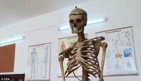 Hiệu trưởng tặng trường... bộ hài cốt của chính mình để dạy sinh học - 1 Hiệu trưởng tặng trường... bộ hài cốt của chính mình để dạy sinh học