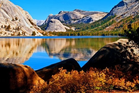 Tuyệt đẹp bộ sưu tập hình nền thiên nhiên đầy sắc màu - 5 Phạm Thế Quang Huy