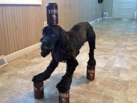 Nhìn từ trên đỉnh tòa tháp xuống phía dưới