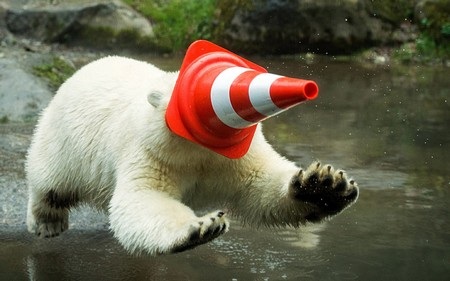 Tuyển tập hình ảnh khoa học, thiên nhiên ấn tượng tuần qua - 16 Mây trắng bao phủ nhiều ngày tại hẻm núi nổi tiếng Grand Canyon (bang Arizona, Mỹ).