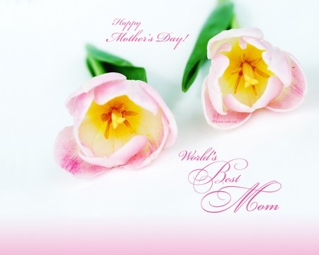 Bộ sưu tập hình nền đầy ý nghĩa dành cho “Ngày của mẹ” - 3 Phạm Thế Quang Huy
