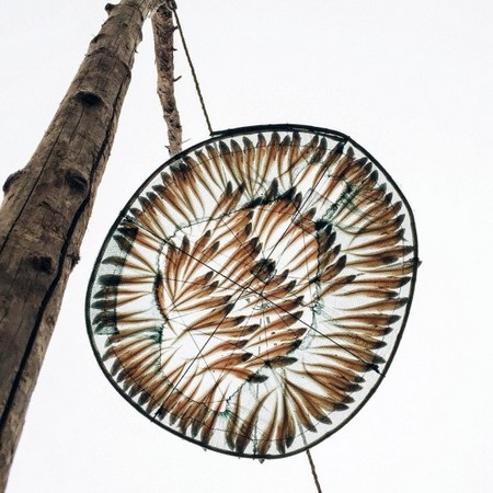 Những bức ảnh tuyệt đẹp đầy nghệ thuật chụp bằng iPhone - 11 Xu Lin, sống tại Thanh Đảo (Trung Quốc) dành chiến thắng ở hạng mục “Thực phẩm”.