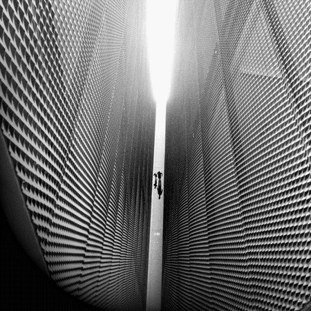 Những bức ảnh tuyệt đẹp đầy nghệ thuật chụp bằng iPhone - 22 Ruairidh McGlynn (Anh) giành chiến thắng ở hạng mục “Cây”.