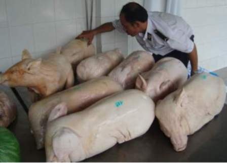 “Thịt bẩn” tràn vào thành phố - 2 “Thịt bẩn” tràn vào thành phố - 2