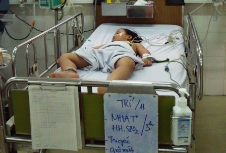 Thêm 2 trẻ nhỏ tử vong, TPHCM chưa công bố dịch - 1