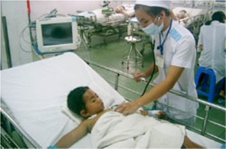 Bị chó phá tổ, bầy ong đốt bé trai “thập tử nhất sinh” - 1 Bị chó phá tổ, bầy ong đốt bé trai “thập tử nhất sinh” - 1