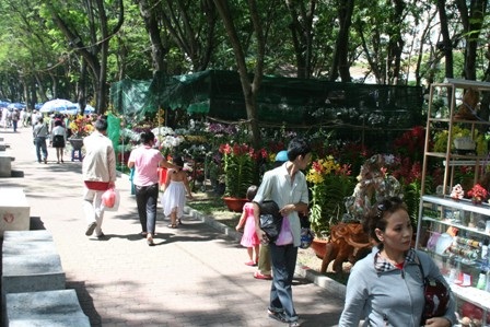 Lan thét giá, mai đào “mỏi mắt” chờ khách mua - 13