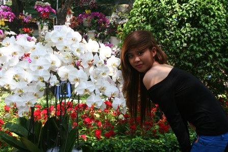 Lan thét giá, mai đào “mỏi mắt” chờ khách mua - 11