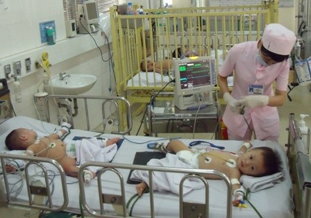 Bệnh não mô cầu đe dọa bùng phát thành dịch - 1