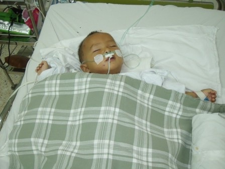 Vụ hai chị em bị ong đốt: Bé Đạt may mắn qua cơn nguy kịch - 1