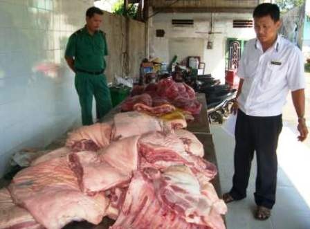 Chưa phát hiện hóa chất tạo nạc độc hại trong thịt heo