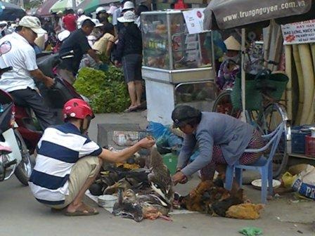 Ca nguy kịch vì nhiễm cúm A/H5N1 đầu tiên ở Tây Nguyên - 1 Ca nguy kịch vì nhiễm cúm A/H5N1 đầu tiên ở Tây Nguyên