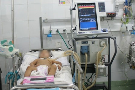 Độc chất bufotoxine có nhiều trong da, trứng và gan cóc