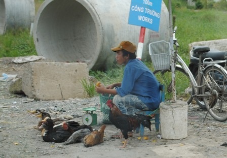 Chỉ bày ra ít con nhưng cần mua bao nhiêu cũng có