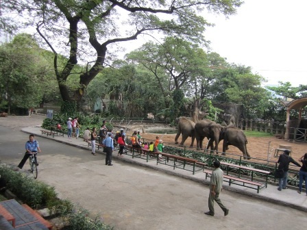 Cảnh vắng vẻ tại Thảo Cầm Viên