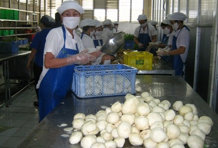 Ăn gì để không bị trúng độc đang là nỗi lo của cộng đồ