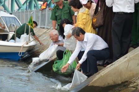 Chủ tịch thành phố (tóc bạc) thả cá về môi trường tự nhiên