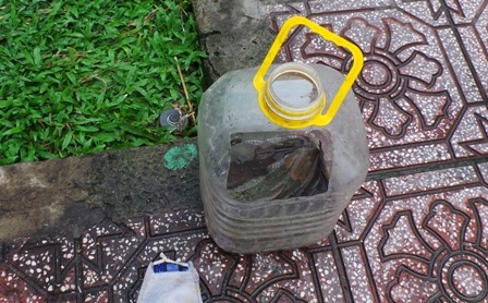 Những con cá vừa được thả xuống đã bị bắt lại