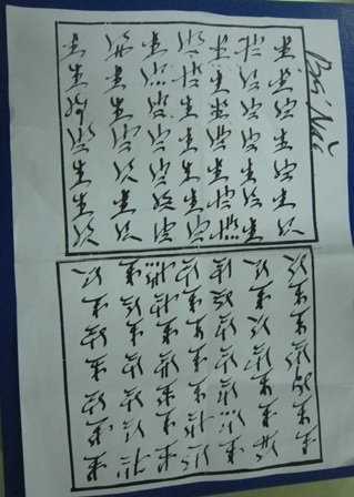 Lá bùa bại não lang băm dùng điều trị cho bà H.