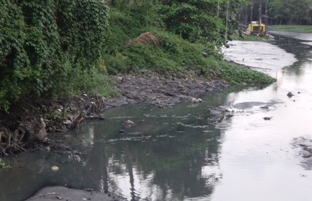 Những dòng kênh chết đang tạo điều kiện cho muỗi sinh sôi