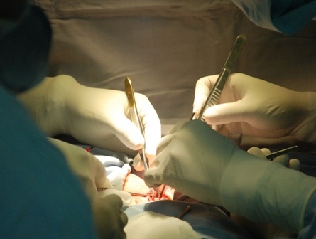 Những mũi dao đầu tiên của cuộc phẫu thuật tách hai bệnh nhi