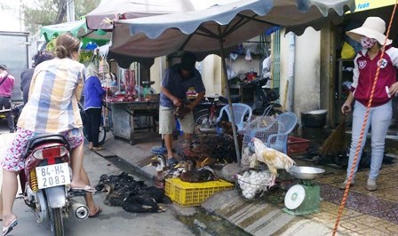 Cúm gia cầm đe dọa nhưng thành phố còn 36 điểm bán gà vịt lậu