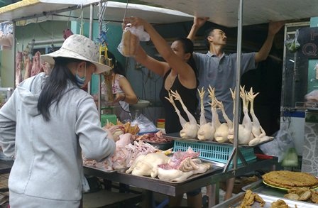 Người dân hãy nói không với gia cầm chưa qua kiểm dịch