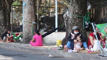 Gốc cây trở thành nơi trốn nóng ngay trong bệnh viện