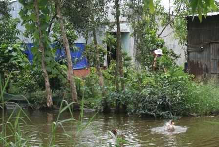 Ổ tiêu chảy cấp: Thêm một bệnh nhi tử vong - 1 Môi trường ô nhiễm là nguyên nhân dẫn tới ổ tiêu chảy cấp