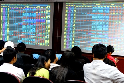 EVN đồng loạt thoái vốn ngoài ngành - 1 EVN đồng loạt thoái vốn ngoài ngành - 1