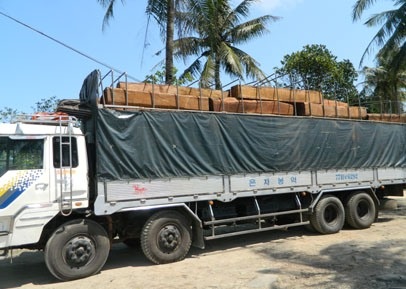 Khởi tố vụ vận chuyển 100m3 gỗ lậu bằng tàu hỏa
