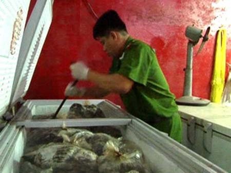 Bắt quả tang một cơ sở chế biến nội tạng động vật bằng hoá chất - 1 Bắt quả tang một cơ sở chế biến nội tạng động vật bằng hoá chất