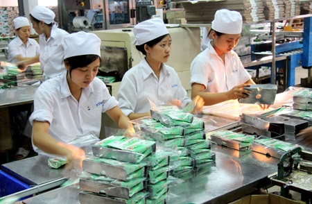 Mộc Châu: Đẩy mạnh sản xuất sữa sạch