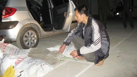 Trinh sát tuổi Tỵ lột mặt nạ "lái rắn" - 1 Bức ảnh chụp Xuyên trước khi anh ta “diễn kịch”