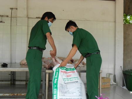 Cơ quan chức năng đang thực hiện đưa đi tiêu hủy.