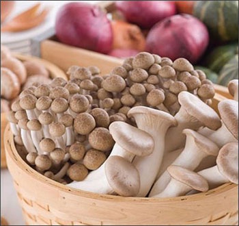 Nguyên tắc ăn uống cho các bệnh ung thư thường gặp ở nữ giới