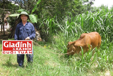 Chuyện tình hiếm có giữa cô giáo với gã tù ngay trong thời gian trả án - 2 Hằng ngày Trắng cố gắng làm việc để vun vén hạnh phúc gia đình mình.Ảnh: T.G