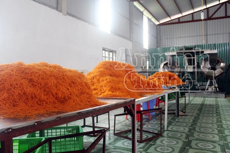 Phát hiện xưởng chuyên sản xuất bim bim “thịt hổ” - 8 Thành phẩm bim bim chuẩn bị khâu đóng gói