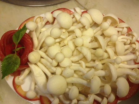 Nấm thủy tinh trắng