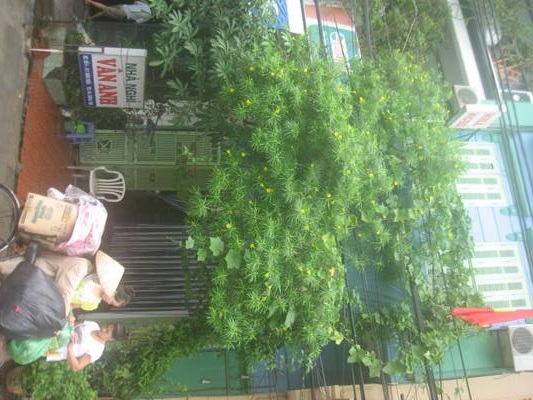 Hà Nội: Mua dâm đồng tính, rơi vào bẫy của 6 tên cướp - 1 Nhà nghỉ Vân Anh, nơi xảy ra vụ cướp