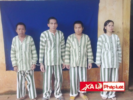 Anh trai tân bị lột trần ngay cuộc hẹn đầu đời với ả cướp chuyên nghiệp - 2 Nhóm đối tượng cướp tài sản