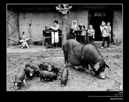 Tác phẩm Tổ ấm của tác giả Nguyễn Tiến Dũng đoạt giải ba