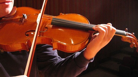 Hình minh họa (internet)