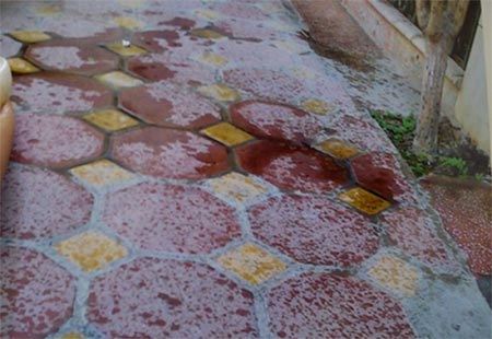 Bị khủng bố "bom" bẩn, dựng "lô cốt" cố thủ giữa Hà Nội - 3 Dấu vết “bom” bẩn mà những kẻ lạ mặt đã dùng để khủng bố gia đình ông Trang.