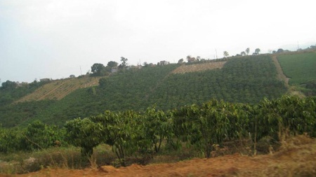 Nữ sát thủ trở về minh oan cho "ma nữ" thác Đambri - 1 Giếng hoang nằm trên quả đồi này là nơi bà Kim đã hại chết con trai tình nhân