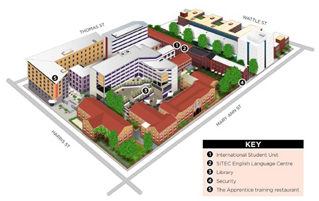 “Một người bạn