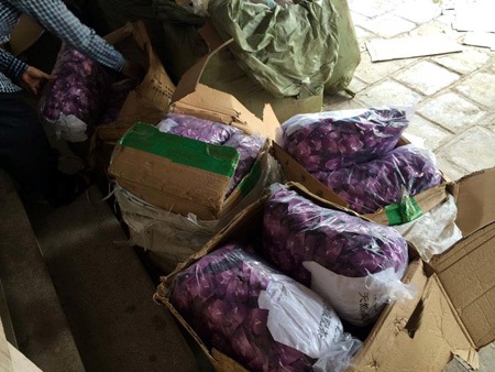 Số trà giảm cân có nguồn gốc từ Trung Quốc.